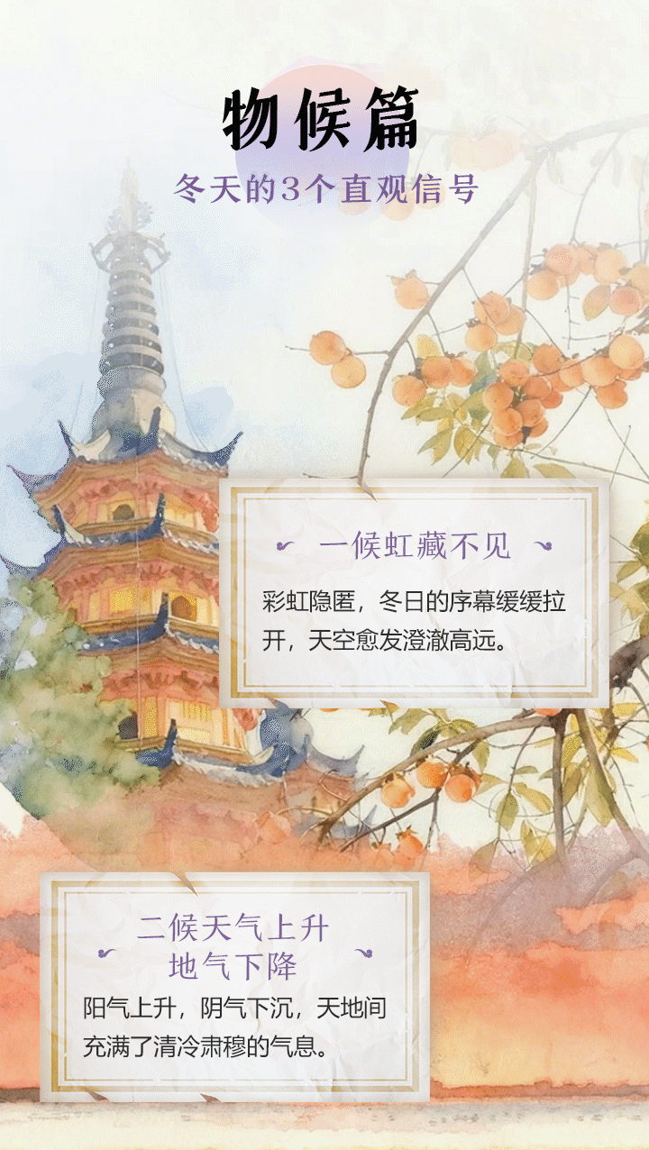 小雪至，腌菜香：收下这份冬日烟火气清单