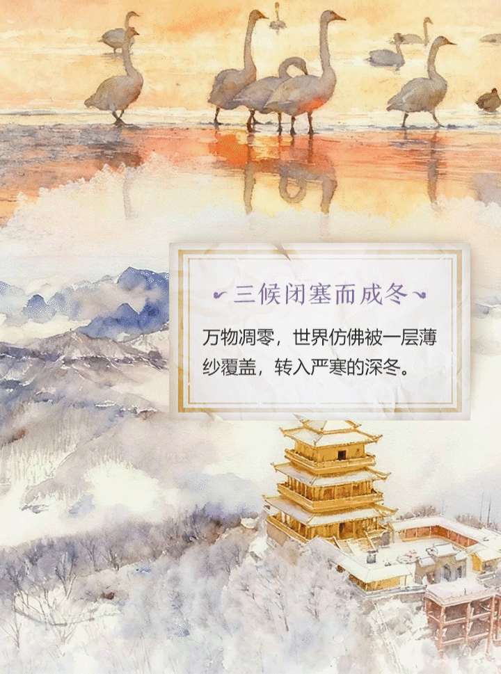 小雪至，腌菜香：收下这份冬日烟火气清单