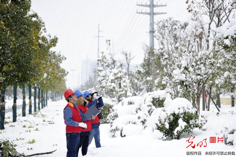 供电员工雪后特巡电网