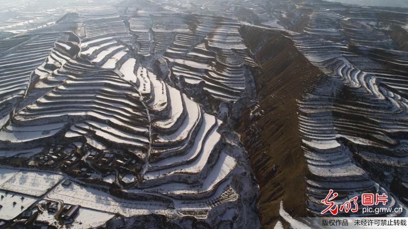 甘肃定西：高原“掌纹”