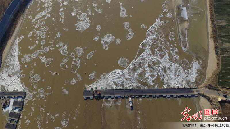 黄河东营段工作人员拆除浮桥确保河道安全