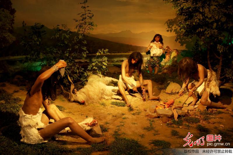 百万年前的“远古盛世”——探访河北张家口泥河湾博物馆