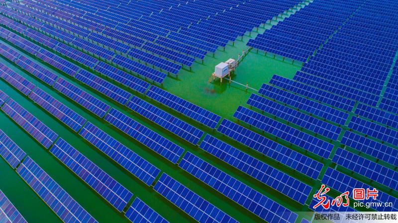 江苏泗洪：光伏、珍珠套作 水库变成“金库”