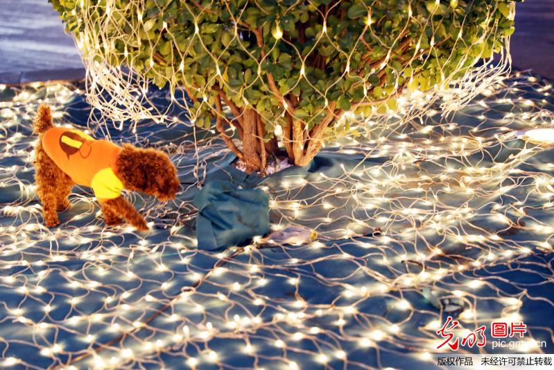 京城夜色美 实拍北京蓝色港湾灯光节