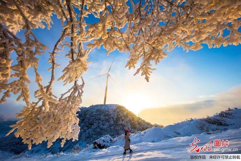 【光明图集】一周图片精选20180108-0114