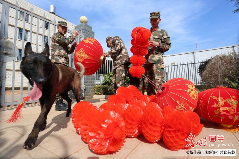 云南：警犬班里年味浓