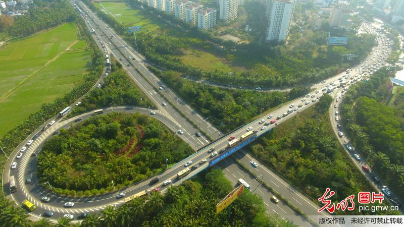 海南琼海：大年初二忙出游