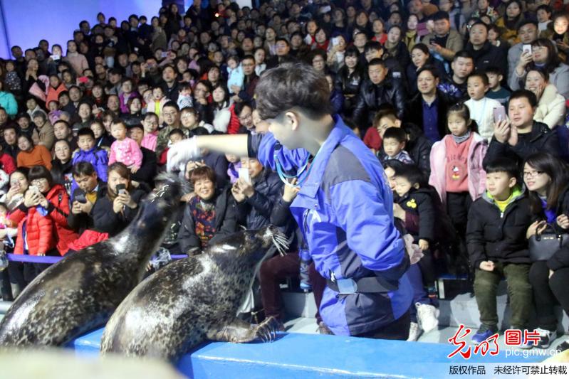 江苏苏州：海底世界里过大年