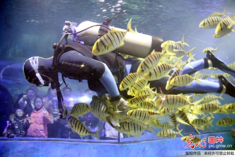 江苏苏州：海底世界里过大年