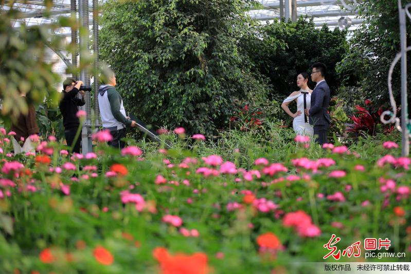 河北邢台：观光农业恍若穿越季节
