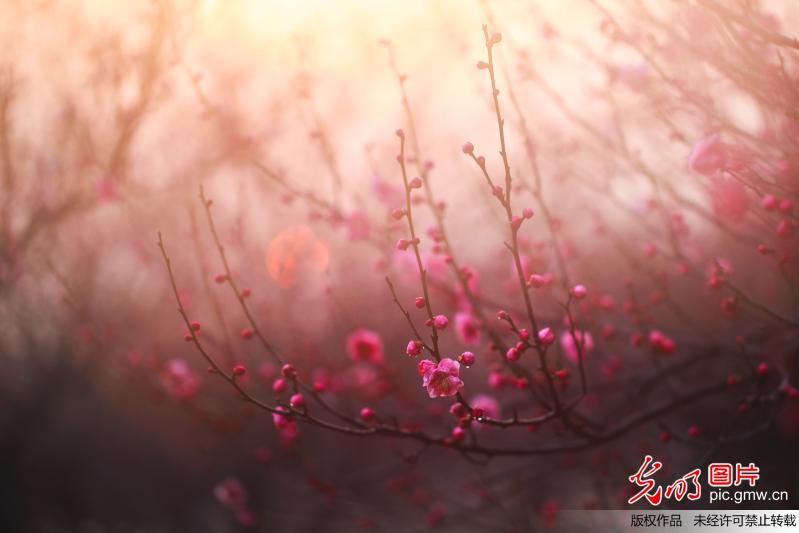 春光明媚踏青忙