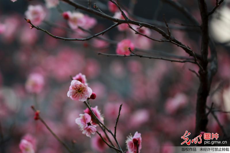 春光明媚踏青忙