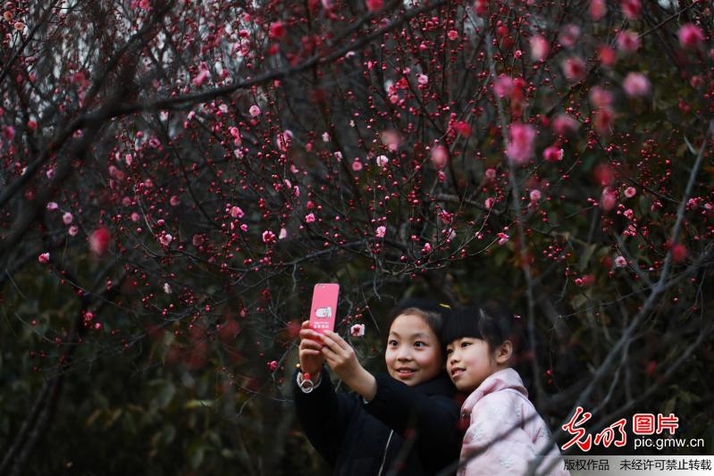 春光明媚踏青忙