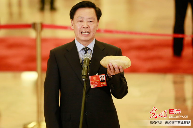 两会第四场“代表通道”开启