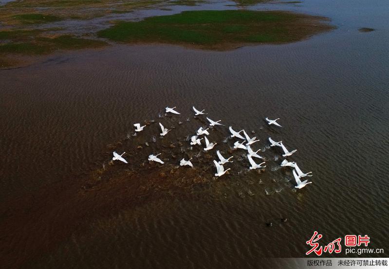 中国最大淡水湖——鄱阳湖湿地出现瀑布奇观