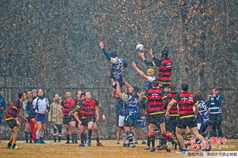 北京：雪中英式橄榄球比赛