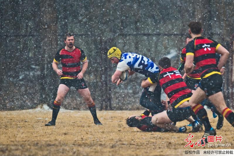 北京：雪中英式橄榄球比赛