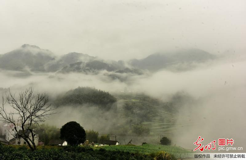 安徽：烟雨白际美如画