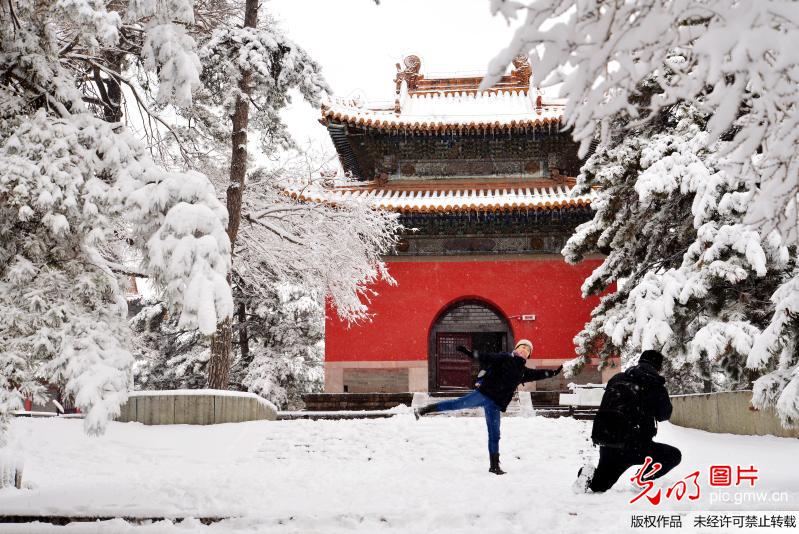 雪映东陵