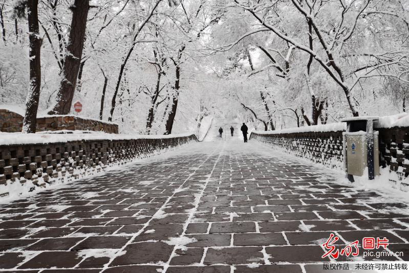 雪映东陵