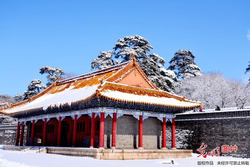 雪映东陵