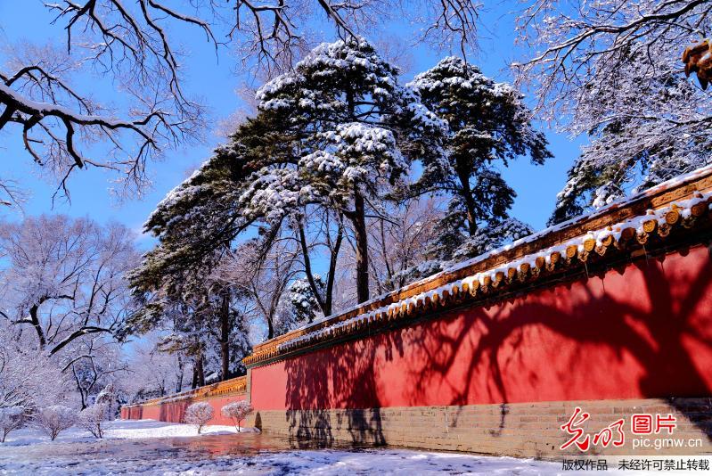 雪映东陵