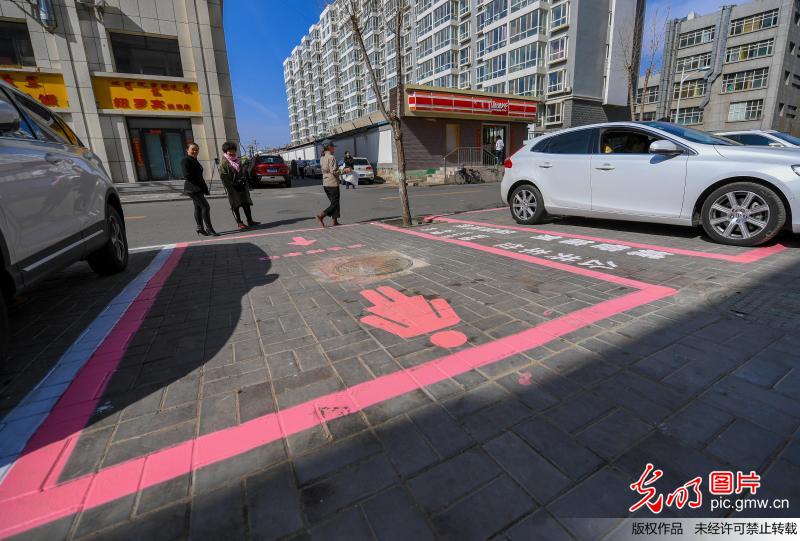 呼和浩特街头现加大号“女士停车位 粉色标线萌萌哒