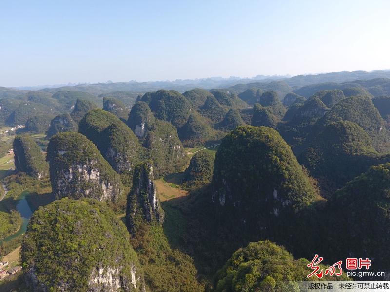 广西罗城：治理石漠化 石山披绿装