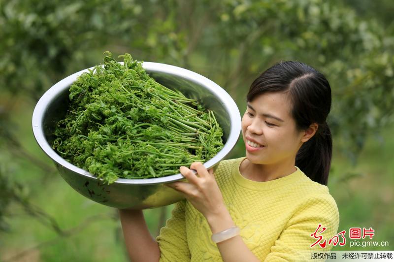 “寒食节”纪念先贤