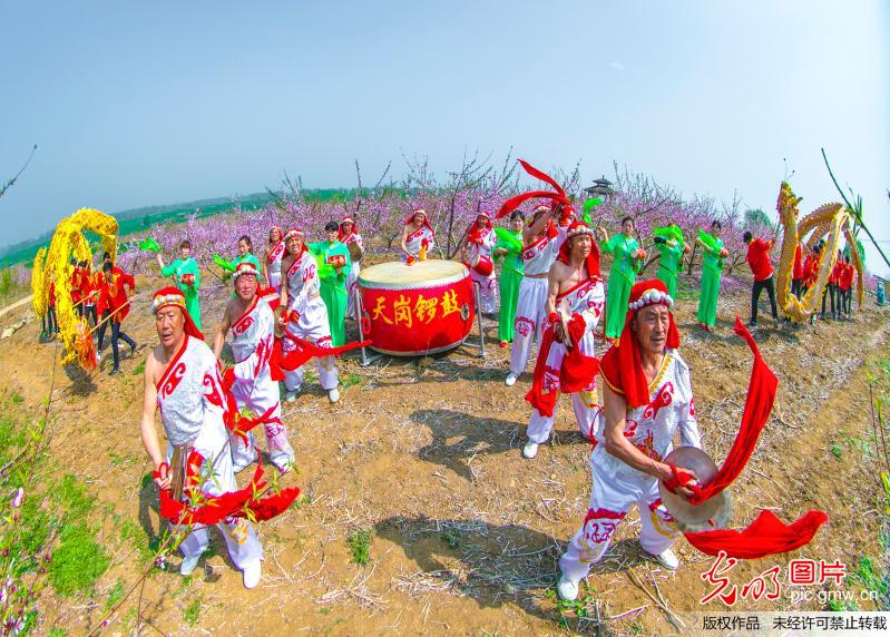 天岗锣鼓响彻万亩桃园