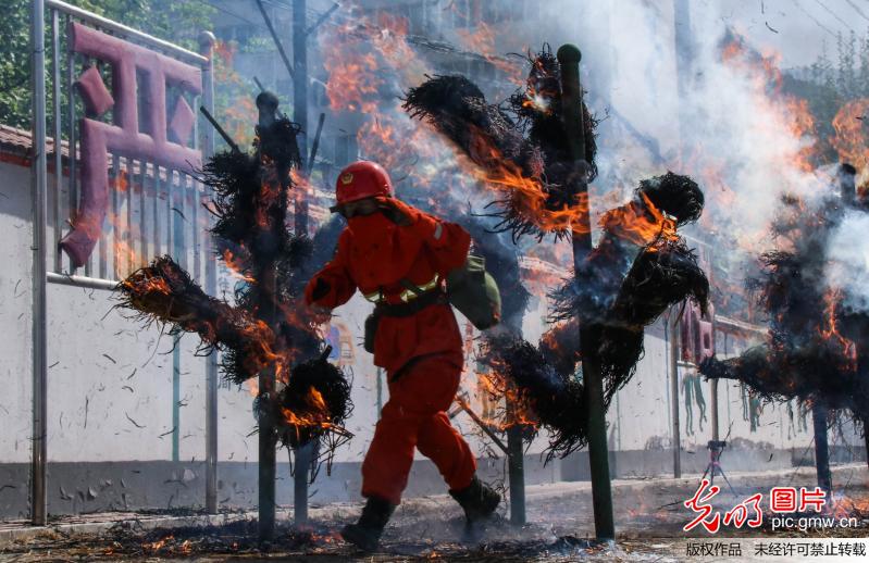 陇南武警森林官兵火海练真功