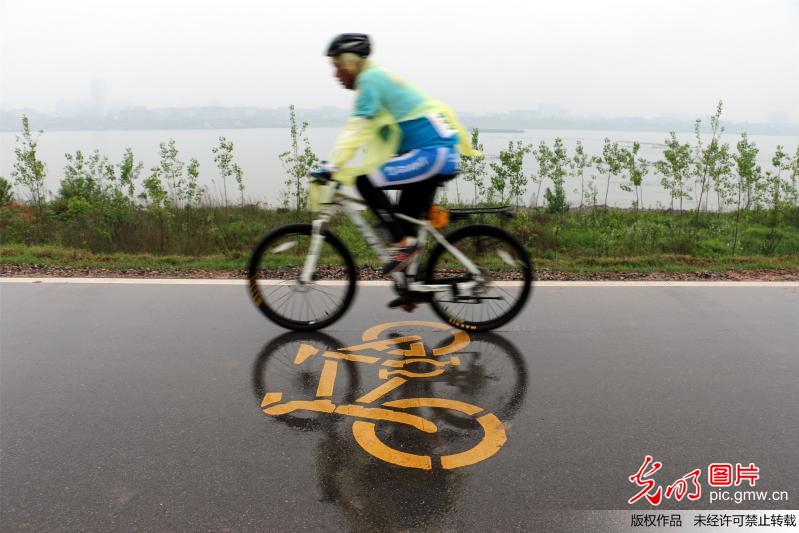 雨中自行车赛