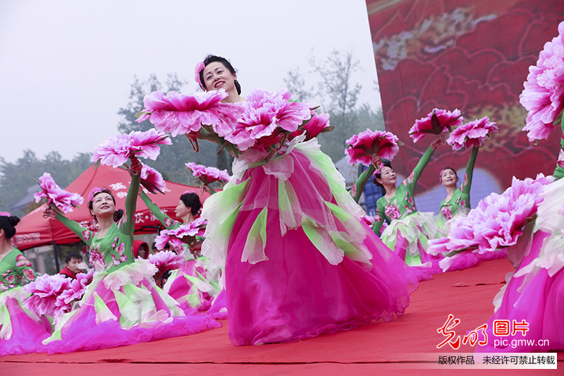 江苏洪泽：牡丹花开游客来