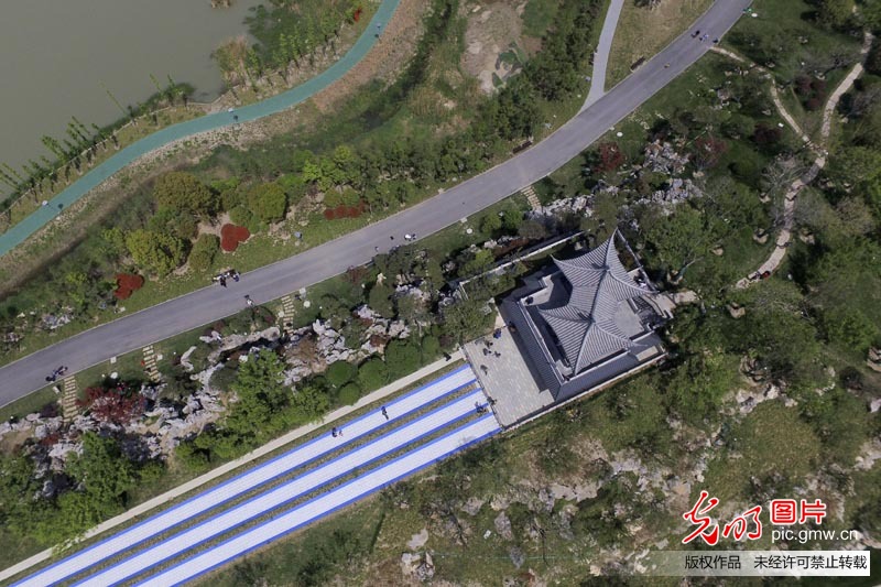 江苏扬州古运河畔“长”出生态公园