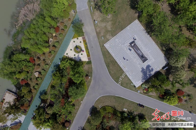 江苏扬州古运河畔“长”出生态公园