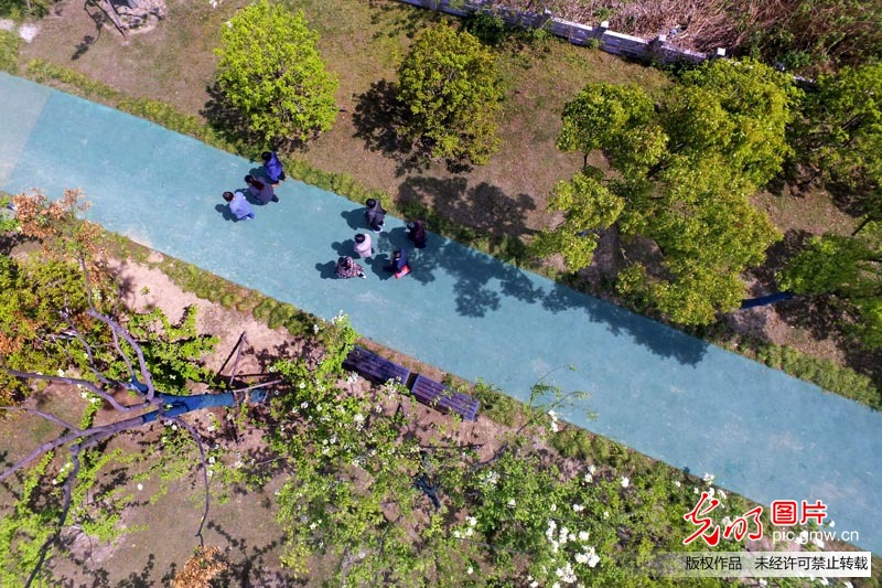 江苏扬州古运河畔“长”出生态公园