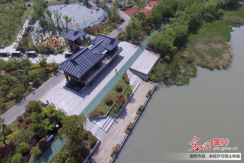 江苏扬州古运河畔“长”出生态公园