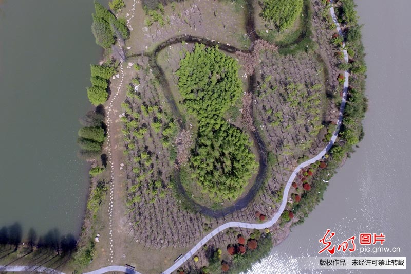 江苏扬州古运河畔“长”出生态公园