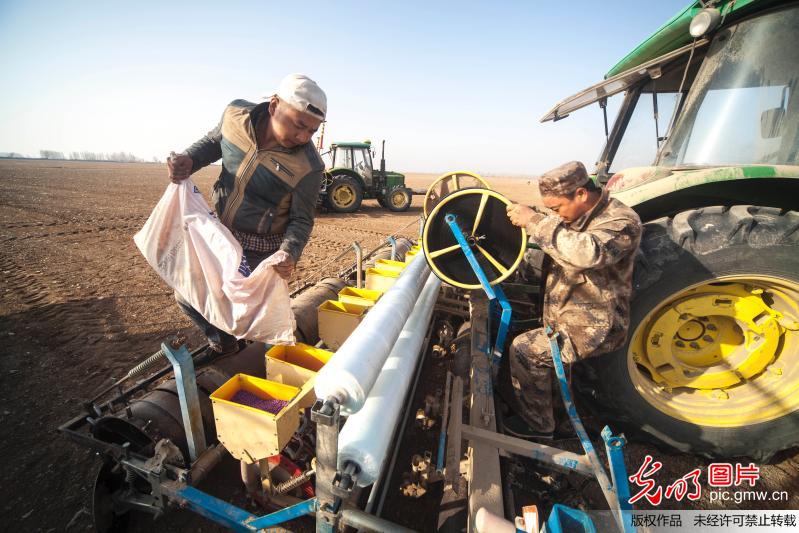 新疆无人驾驶拖拉机播种70万亩棉花 新疆无人驾驶拖拉机播种70万亩棉花