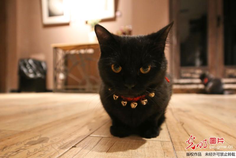 高颜值书店设胶囊空间