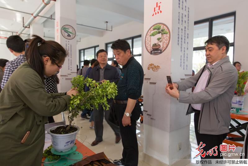 全国区域社区教育模式创新发展研讨会在如皋举行