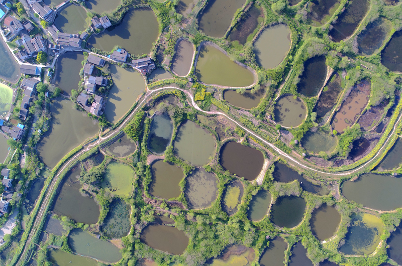 湖州“桑基鱼塘”列入全球重要农业文化遗产名录