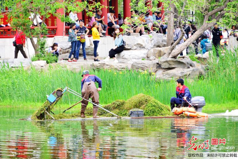 【光明图刊】劳动者的节日坚守