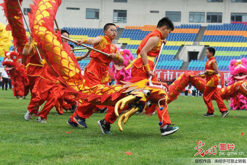 小学生运动会凸显综合教育成果