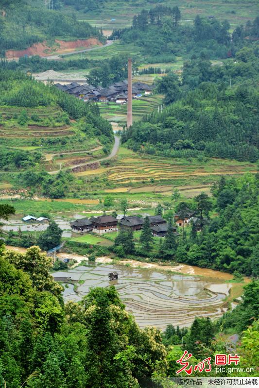 乡山村落的田园风光