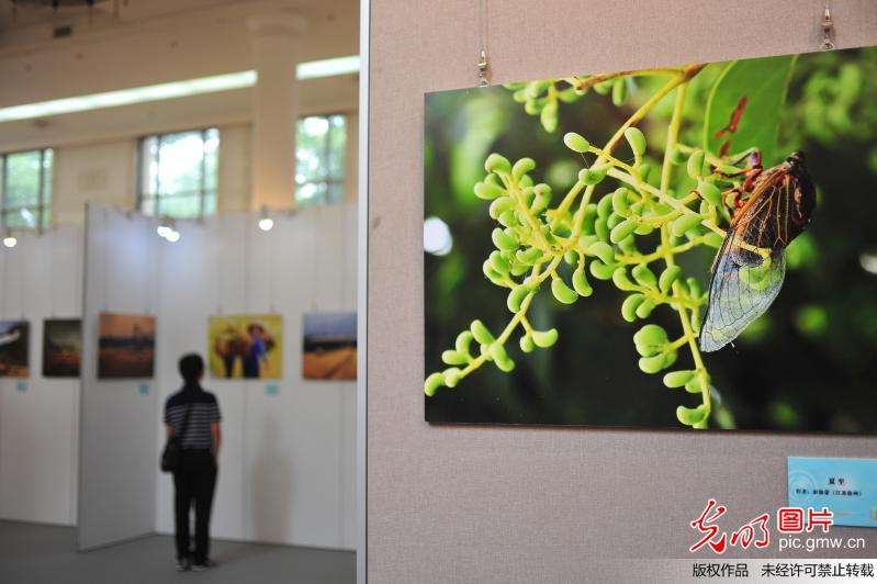 “二十四节气”摄影作品展开幕