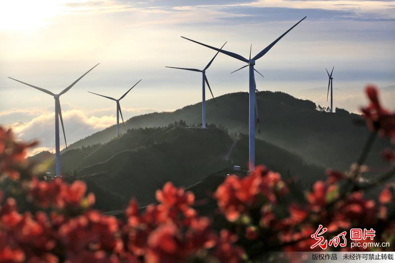 绿色风电助力节能减排