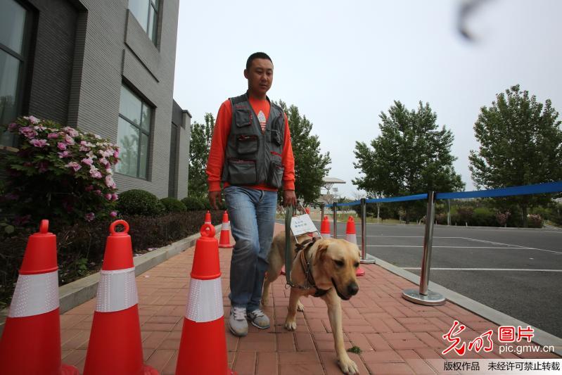 导盲犬——“你是我的眼”探访中国导盲犬大连培训基地