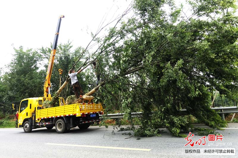 聚焦改革开放40周年——“航拍中国”活动走进湖州长兴