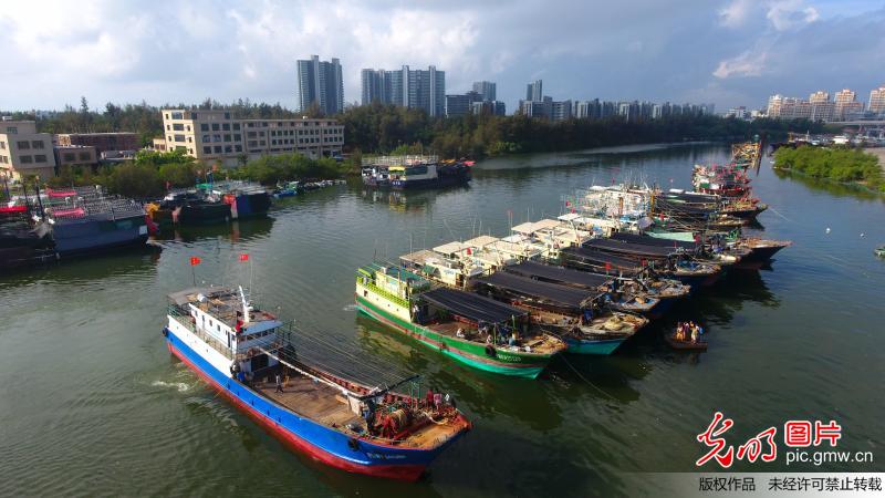 今年第4号台风即将生成渔船回港避风